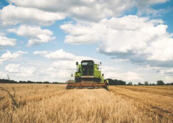 Plano Safra 2025/26 será anunciado hoje com expectativa de ampliação de crédito; confira os detalhes preliminares