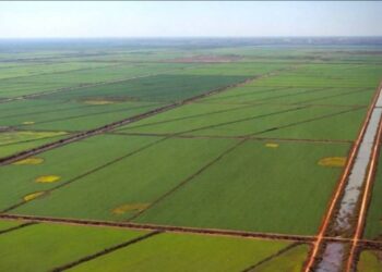 Associação realiza I Encontro do Polo de Agricultura Irrigada do Sudoeste do Tocantins no próximo dia 3 de julho