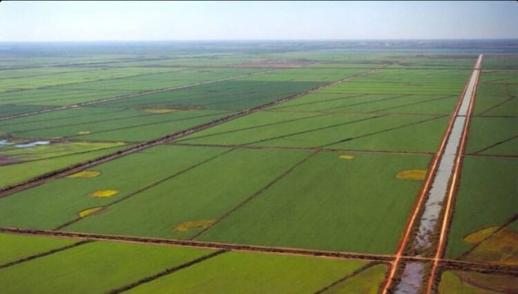 Associação realiza I Encontro do Polo de Agricultura Irrigada do Sudoeste do Tocantins no próximo dia 3 de julho