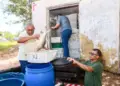 Transporte de peixes sem nota fiscal resulta em multa de R$ 104 mil a empresa