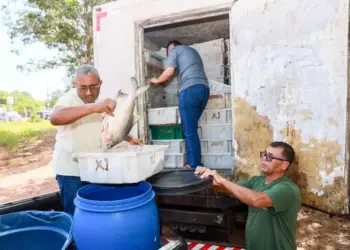 Transporte de peixes sem nota fiscal resulta em multa de R$ 104 mil a empresa