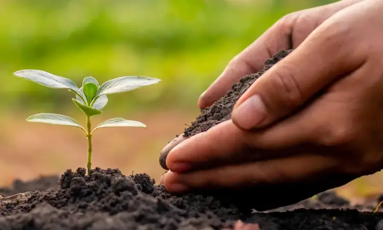 Conservar o solo, proteger o clima