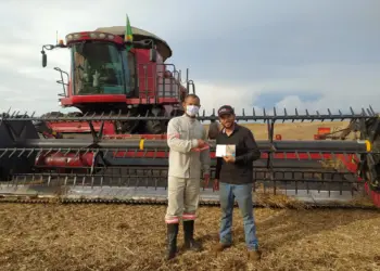 Colheita de grãos exige cuidados para evitar acidentes com rede elétrica