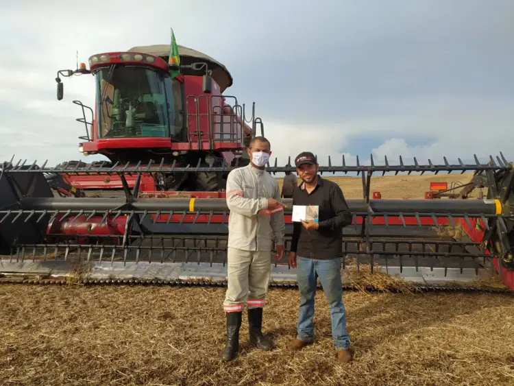 Colheita de grãos exige cuidados para evitar acidentes com rede elétrica
