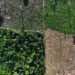 Inpe aponta aumento nos alertas de desmatamento na Amazônia no primeiro semestre