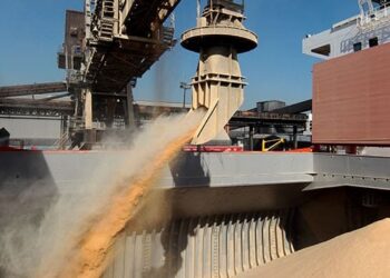 Soja brasileira deve movimentar quase 12 milhões de toneladas no mercado externo em julho