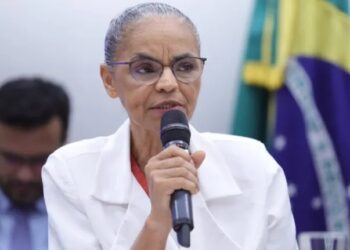 Ministra Marina Silva é ouvida na Comissão de Agricultura sobre avanço das queimadas e do desmatamento