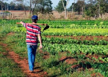 Sancionada lei que incentiva permanência de jovens no campo