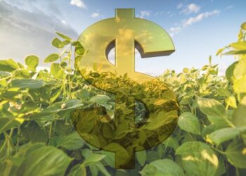 Plano Safra 2025/26 injeta R$ 516,2 bilhões no agro e prioriza crédito para custeio