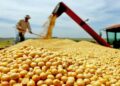 Tocantins sedia seminário internacional da ONU sobre sustentabilidade agropecuária com presença do embaixador da Suiça
