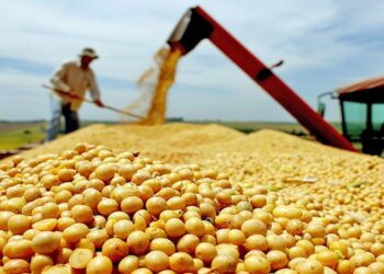 Tocantins sedia seminário internacional da ONU sobre sustentabilidade agropecuária com presença do embaixador da Suiça