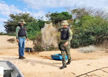 Mais de 40 kg de peixes são apreendidos em operação de combate à pesca irregular