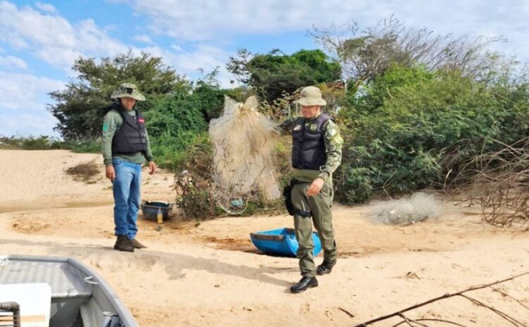 Mais de 40 kg de peixes são apreendidos em operação de combate à pesca irregular