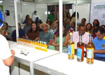 38ª Feira da Colheita fortalece agricultura familiar em Aurora do Tocantins com oficinas e inovação