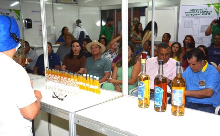 38ª Feira da Colheita fortalece agricultura familiar em Aurora do Tocantins com oficinas e inovação