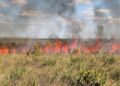 Para prevenir incêndios, Estado suspende autorizações de queima controlada a partir de 20 de julho