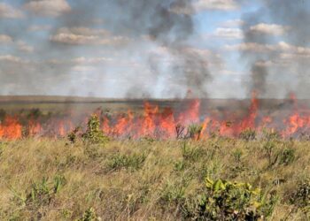 Para prevenir incêndios, Estado suspende autorizações de queima controlada a partir de 20 de julho