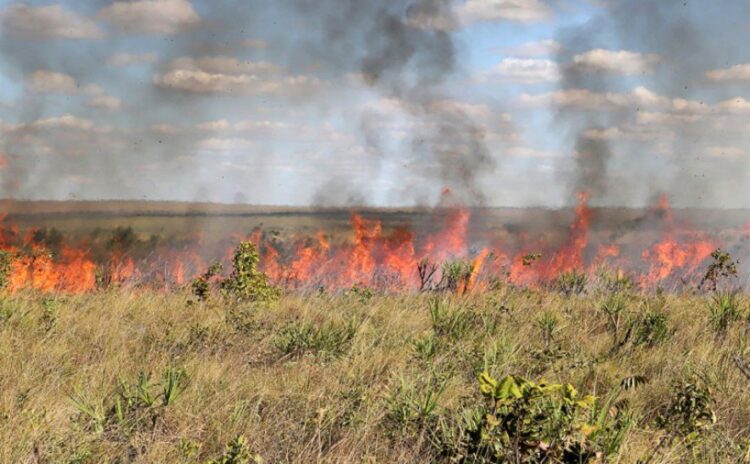 Para prevenir incêndios, Estado suspende autorizações de queima controlada a partir de 20 de julho