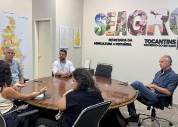 Expansão energética é tema de debate para atender avanço da produção agrícola no Tocantins