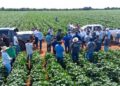 Produtividade e gestão pecuária são temas da nova edição do Café no Campo no Tocantins