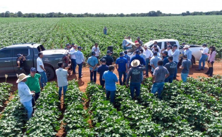Produtividade e gestão pecuária são temas da nova edição do Café no Campo no Tocantins