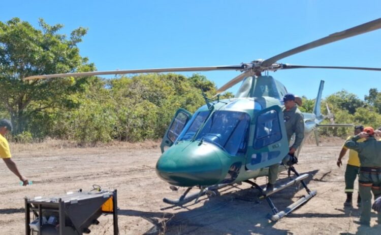 Ações de Manejo Integrado do Fogo são realizadas na região do Parque Nacional do Araguaia