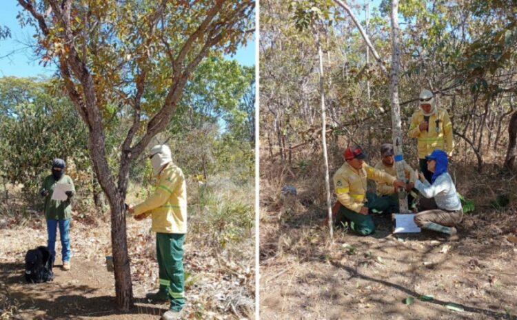Monitoramento ambiental é ampliado no Parque Estadual do Lajeado com novas câmeras