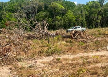 Homem é multado em R$ 690 mil por desmatamento em área de reserva em Wanderlândia