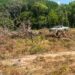 Homem é multado em R$ 690 mil por desmatamento em área de reserva em Wanderlândia