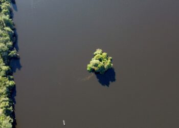 Licenciamento ambiental em Unidades de Conservação tem novo fluxo no Estado