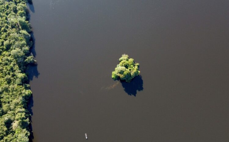 Licenciamento ambiental em Unidades de Conservação tem novo fluxo no Estado