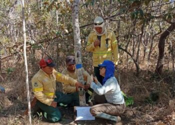 Parque Estadual do Lajeado recebe melhorias para reforço da segurança e estrutura de visitação