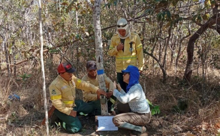 Parque Estadual do Lajeado recebe melhorias para reforço da segurança e estrutura de visitação