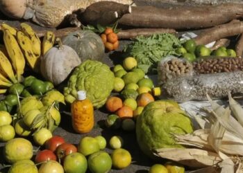 Plano Safra terá R$ 70 bilhões em crédito do BNDES, maior valor da história