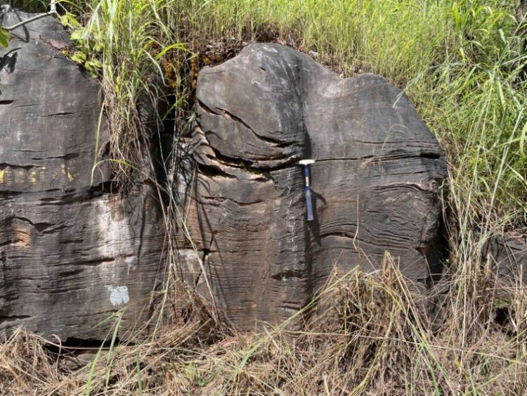 Estudo aponta que rochas do Tocantins podem ser fonte de fertilizante natural triplo