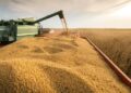 Com avanço de 402 mil hectares, Tocantins se firma como nova fronteira agrícola da Amazônia Legal