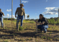 Unicatólica desenvolve projeto pioneiro de cultivo de lúpulo