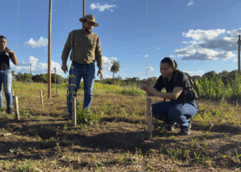 Unicatólica desenvolve projeto pioneiro de cultivo de lúpulo