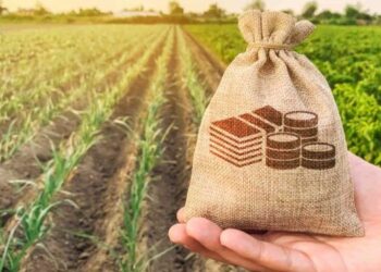 Plano Safra 2025/26 projeta investimentos e exige atenção estratégica dos produtores