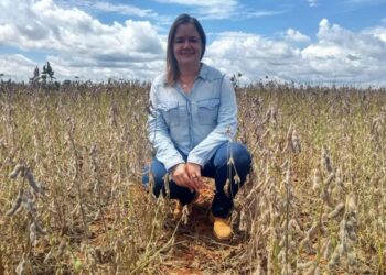 Tocantins consolida protagonismo na produção de grãos na safra 2024/2025