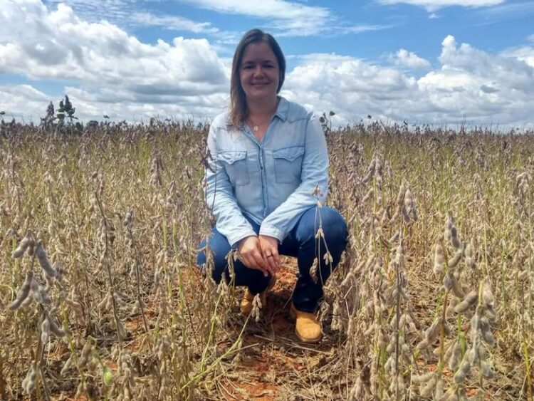 Tocantins consolida protagonismo na produção de grãos na safra 2024/2025