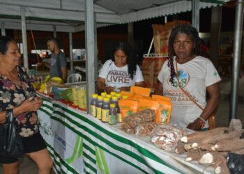 Feira da Agricultura Familiar fortalece economia local em São Miguel e valoriza produtores