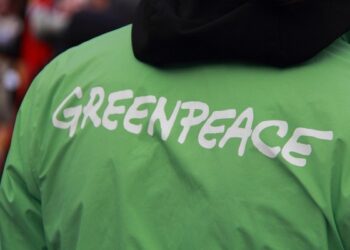 Plano Safra 2025/2026: Greenpeace Brasil cobra critérios mais rígidos no crédito rural e aponta riscos para o clima e as florestas