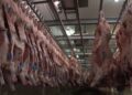 Exportadores de carne bovina alertam: carga tributária pode ultrapassar 76% com novo tarifaço
