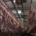 Exportadores de carne bovina alertam: carga tributária pode ultrapassar 76% com novo tarifaço