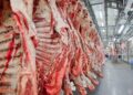 Brasil deve alcançar recorde na exportação de carne bovina mesmo sem mercado dos EUA