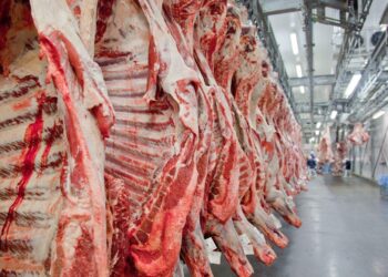 Brasil deve alcançar recorde na exportação de carne bovina mesmo sem mercado dos EUA