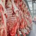 Brasil deve alcançar recorde na exportação de carne bovina mesmo sem mercado dos EUA