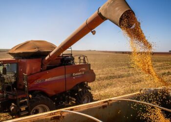 Grupo C.AGRO contribui para suspensão de R$ 200 milhões em dívidas de grande empresa do agro