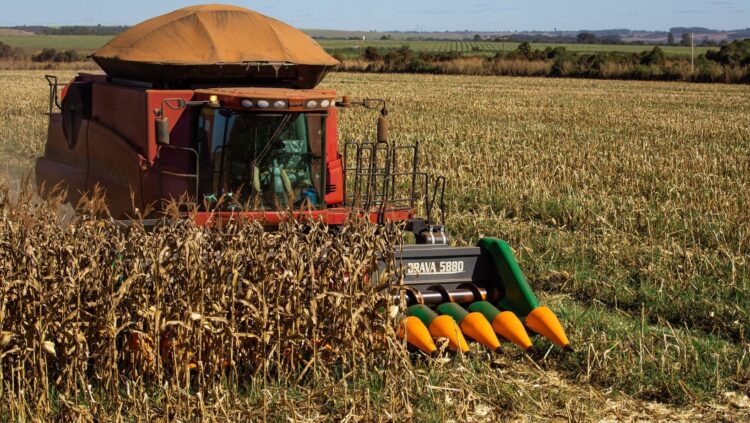Grupo Soberano tem pedido de recuperação judicial aceito pela Justiça do Tocantins